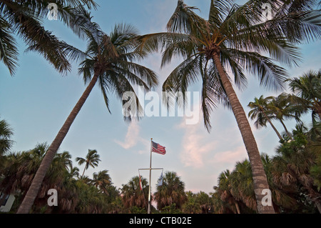 Kokos-Palmen und amerikanische Flagge vor einem Sonnenuntergang Himmel in Naples Florida Pier entlang des Golfs von Mexiko. Stockfoto