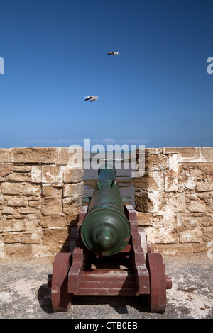 Cannon und Möwen auf den Wällen, der Medina Essaouira Marokko Afrika Stockfoto