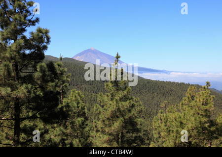 Spanien, Kanarische Inseln, Teneriffa, Pico del Teide, Vulkan, Stockfoto