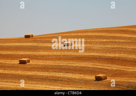 Tuscany Landschaft Sommer 2012. Stockfoto