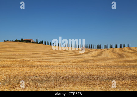 Tuscany Landschaft Sommer 2012. Stockfoto