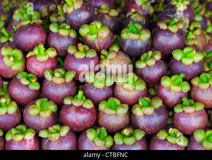 Mangostan-Frucht auf den Tresen des osteuropäischen Marktes Stockfoto