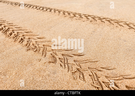 Spuren des Quad auf dem Strandsand Stockfoto