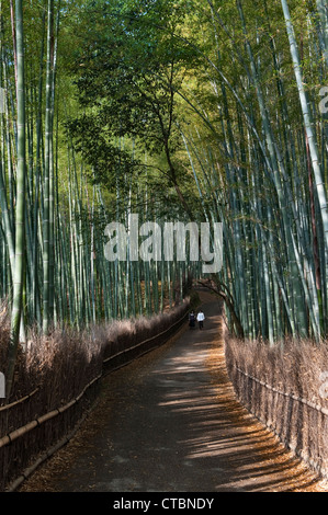 Der berühmte Sagano Bambushain in Arashiyama, Kyoto, Japan, eine beliebte Touristenattraktion Stockfoto