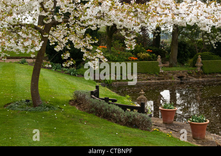 Einen Baum voller Frühling blühen neben dem Zierteich an Coton Manor, Coton, Northamptonshire, England Stockfoto