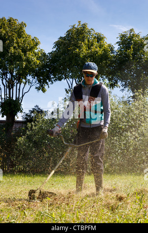 junge arbeitet auf einem Trimmer an einem sonnigen Sommertag Stockfoto