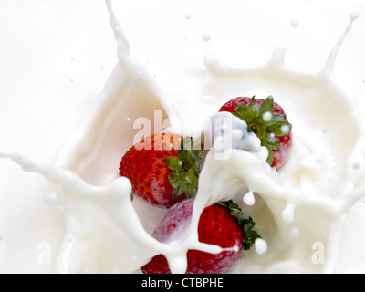 Spritzen der Erdbeere in der Milch Stockfoto