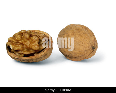 Walnuss Stockfoto