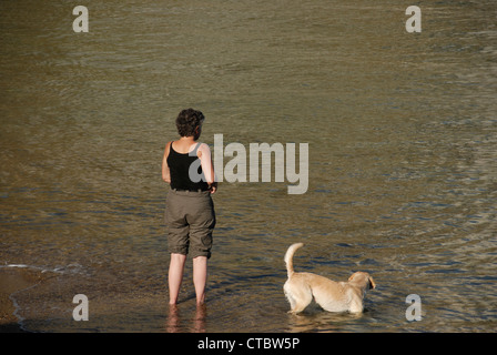 Eine Frau, Paddeln im Meer mit ihrem Hund UK Stockfoto