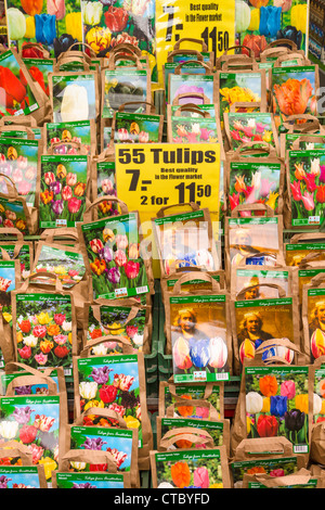 Tulpenzwiebeln für Verkauf am Blumenmarkt Stockfoto