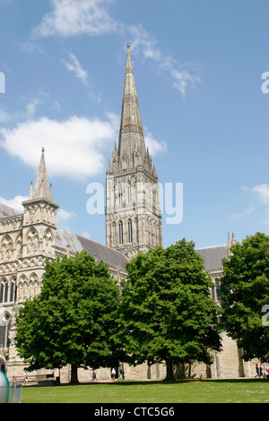 Dom-Turm aus Südwesten Salisbury Wiltshire England UK Stockfoto