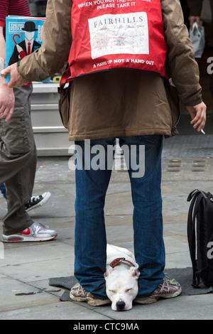 Großes Problem-Verkäufer und seine Staffordshire Bullterrier auf einer Londoner Straße Stockfoto