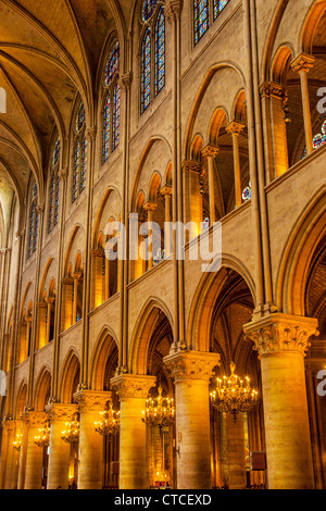 Reihen von Rundbogenfenster und Spalte in das Innere der Kathedrale Notre Dame, Paris, Frankreich Stockfoto