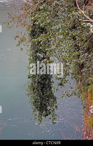 Debang Flussbett, Arunachal Pradesh, Indien Stockfoto