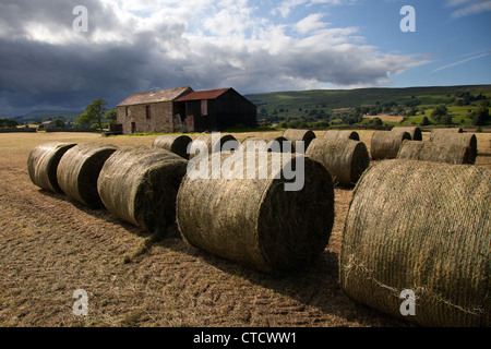 Frisch geschnitten und Ballensilage in Feld-Hof in der Nähe von Bainbridge, North Yorkshire Dales, UK Stockfoto