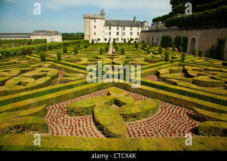 Die Ziergärten des Chateau Villandry in französischen Loire-Tal. Stockfoto