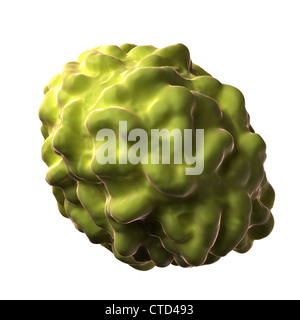 Pocken-Virus-Partikel Stockfoto