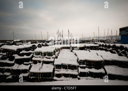 Scarborough Hafen im Winter Stockfoto