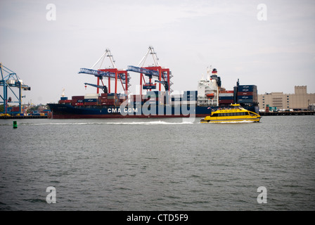 Ein NY Waterway Taxi übergibt die CMA CGM Utrillo laden im Brooklyn Marine Terminal im Hafen von New York Stockfoto