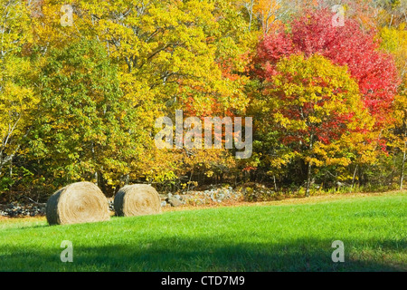 Herbst Heuballen auf Bauernhof in Maine geerntet. Stockfoto