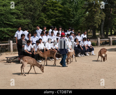 Schulkinder lassen ihre Fotos mit dem heiligen Sika-Hirsch im Todai-ji-Tempel, Nara, Japan, machen. Die Hirsche gelten als Boten der Götter Stockfoto