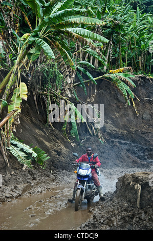 FARDC, Mushake, demokratische Republik Kongo Stockfoto