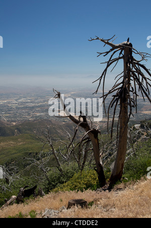 Die Luftverschmutzung in den San Bernardino Valley, östlich der Innenstadt von Los Angeles Stockfoto