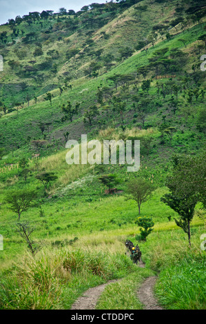 FARDC, Mushake, demokratische Republik Kongo Stockfoto