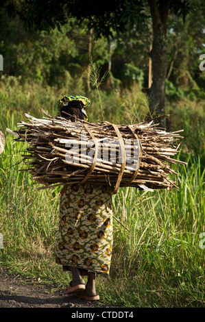 FARDC, Mushake, demokratische Republik Kongo Stockfoto