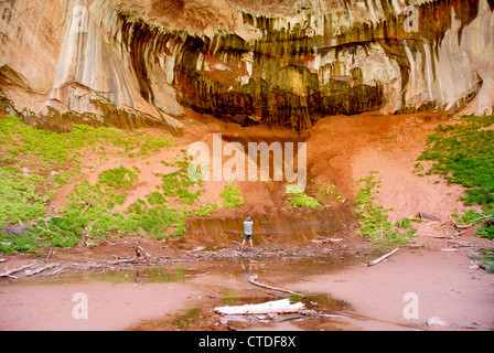 Double Arch Alkoven auf Taylor Creek Trail in Kolob Canyons im Zion Nationalpark, Utah Stockfoto