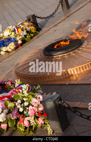 Grab des unbekannten Soldaten unter dem Arc de Triomphe, Paris Frankreich Stockfoto