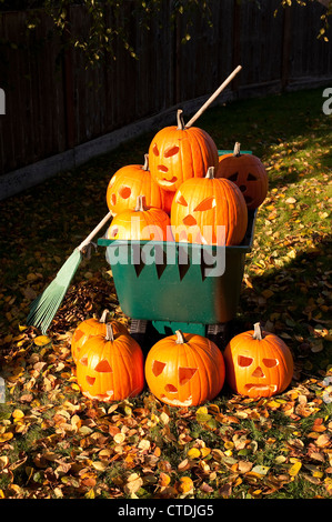 Geschnitzte Kürbisse in einer Schubkarre mit Herbst Blätter auf Hinterhof Rasen mit Rechen. Stockfoto