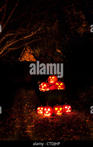 Geschnitzte Kürbisse beleuchtet in einer Schubkarre mit Herbstlaub auf Hinterhof Rasen in der Dämmerung. Stockfoto