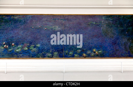 Einer der acht Seerose Wandmalereien von Claude Monet, in speziell entwickelten elliptischen-förmigen Zimmer im Musee de l ' Orangerie untergebracht. Stockfoto