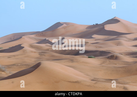 Quad Biker auf dem Kamm einige Riesen Wüste Sanddünen, Dubai, Vereinigte Arabische Emirate Stockfoto