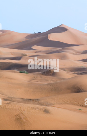 Quad Biker auf dem Kamm einige Riesen Wüste Sanddünen, Dubai, Vereinigte Arabische Emirate Stockfoto