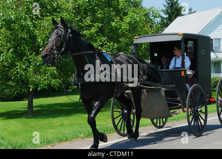 Amische Familie auf der Straße in der Nähe ihrer Farm. Stockfoto