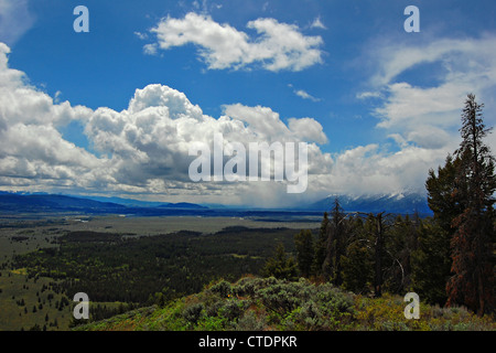 Blick vom Signal Mountain, Grand-Teton-Nationalpark Stockfoto