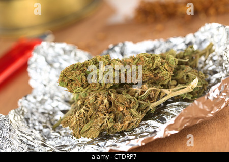 Getrocknete Blumen von Cannabis Sativa auf Alufolie (selektiven Fokus, Fokus auf der Vorderseite der beiden Köpfe in der Front) Stockfoto