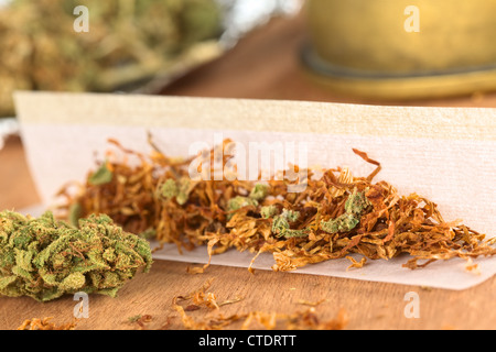 Einen Joint aus Marihuana und Tabak Stockfoto