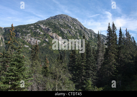 Alaska, USA. Die White Pass and Yukon Route von Skagway nach Whitehorse Stockfoto