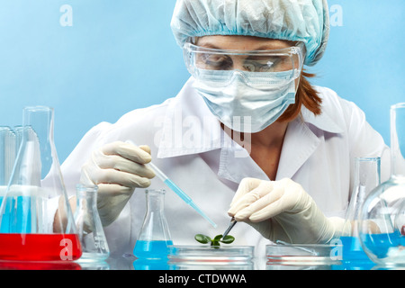 Forscherin beschäftigt Bäumchen in Laborbedingungen zu studieren Stockfoto