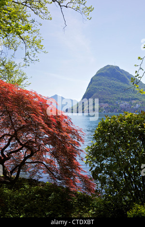Blick auf Monte San Salvador von Parco Civico, Lugano, Lago di Lugano, Tessin, Schweiz, Europa Stockfoto