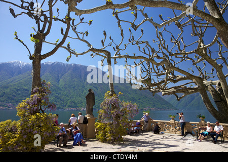 Beschnitten Platanen in der Frühlingssonne, Villa Balbianello, Lenno, Comer See, Norditalien, Europa Stockfoto