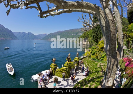 Beschnitten Platanen in der Frühlingssonne, Villa Balbianello, Lenno, Comer See, Norditalien, Europa Stockfoto