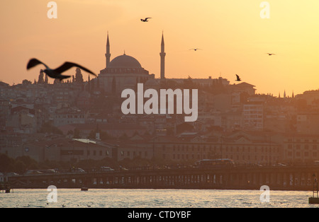 ISTANBUL, TÜRKEI. Ein Abend-Blick auf das Goldene Horn mit den Yavuz Selim Moschee dominiert die Skyline. 2012. Stockfoto