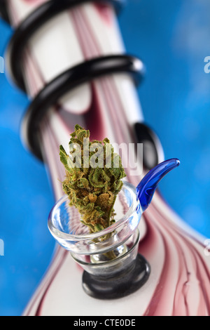 Getrocknete Cannabis Blüte in das Chillum eine Glas Bong (Wasserpfeife) (selektiven Fokus, Fokus auf der Vorderseite der Cannabis Blüte) Stockfoto