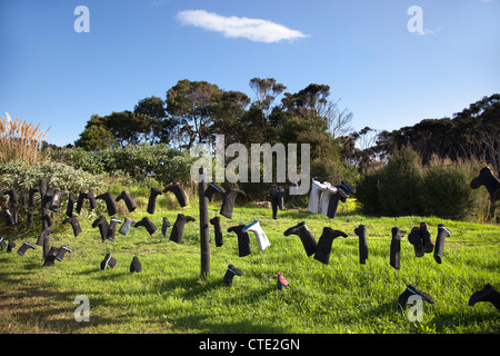 Surreale Gumboot Zaun, Northlands, Neuseeland Stockfoto