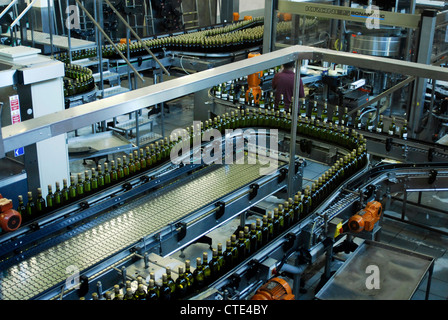 Bergkelder Wein Besucher Zentrum und Abfüllung Pflanze, Cape Winelands, Stellenbosch, Western Cape, Südafrika Stockfoto