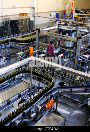 Bergkelder Wein Besucher Zentrum und Abfüllung Pflanze, Cape Winelands, Stellenbosch, Western Cape, Südafrika Stockfoto